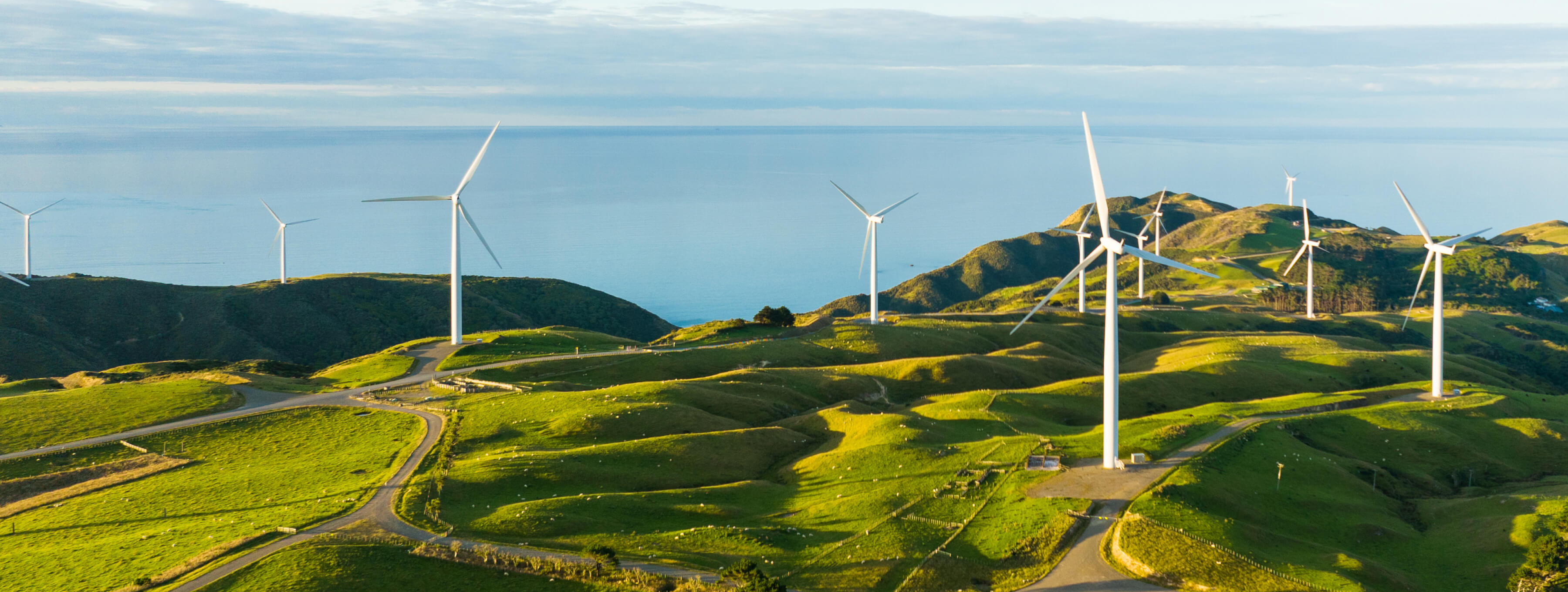 Banner_Sustainability